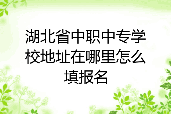 湖北省中职中专学校地址在哪里怎么填报名