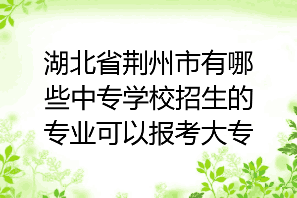 湖北省荆州市有哪些中专学校招生的专业可以报考大专