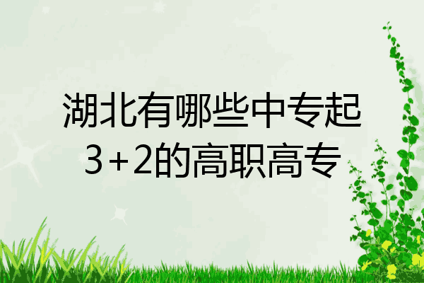 湖北有哪些中专起3+2的高职高专