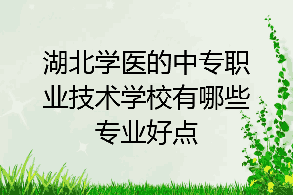 湖北学医的中专职业技术学校有哪些专业好点
