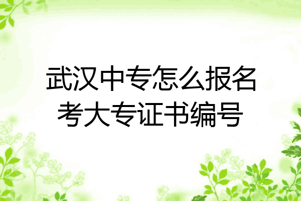 武汉中专怎么报名考大专证书编号