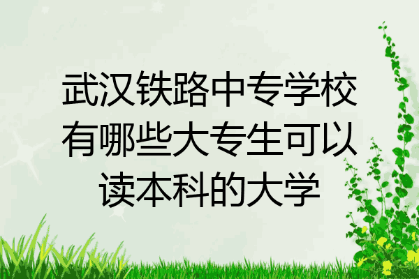 武汉铁路中专学校有哪些大专生可以读本科的大学