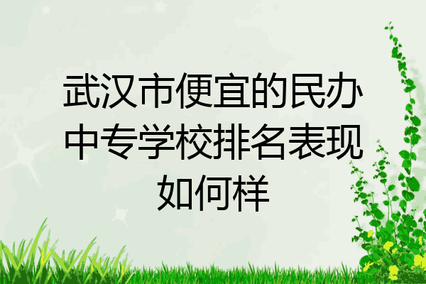 武汉市便宜的民办中专学校排名表现如何样