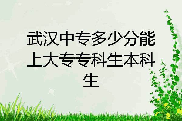 武汉中专多少分能上大专专科生本科生