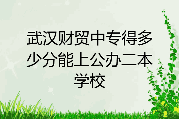 武汉财贸中专得多少分能上公办二本学校