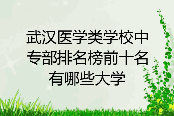 武汉医学类学校中专部排名榜前十名有哪些大学