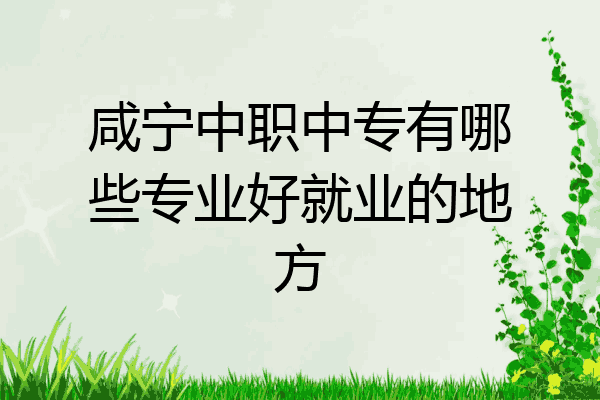咸宁中职中专有哪些专业好就业的地方
