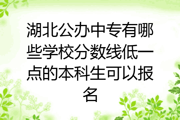 湖北公办中专有哪些学校分数线低一点的本科生可以报名
