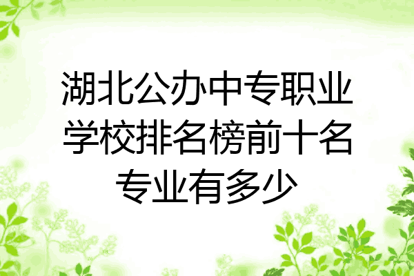 湖北公办中专职业学校排名榜前十名专业有多少