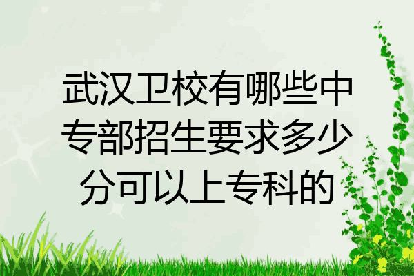 武汉卫校有哪些中专部招生要求多少分可以上专科的
