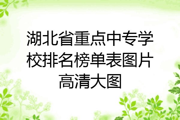 湖北省重点中专学校排名榜单表图片高清大图