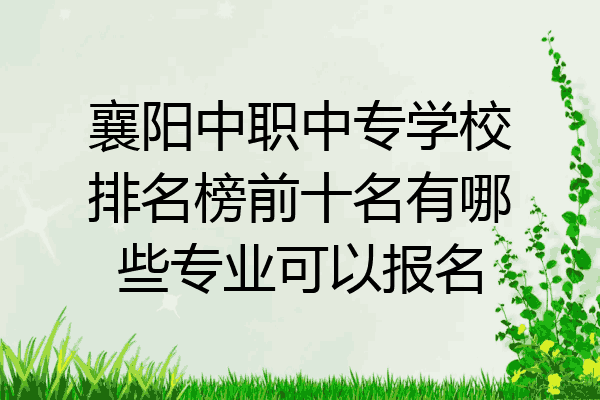襄阳中职中专学校排名榜前十名有哪些专业可以报名