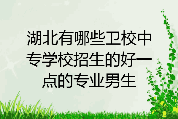 湖北有哪些卫校中专学校招生的好一点的专业男生