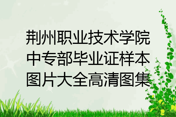 荆州职业技术学院中专部毕业证样本图片大全高清图集
