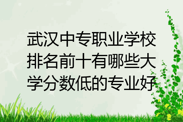 武汉中专职业学校排名前十有哪些大学分数低的专业好
