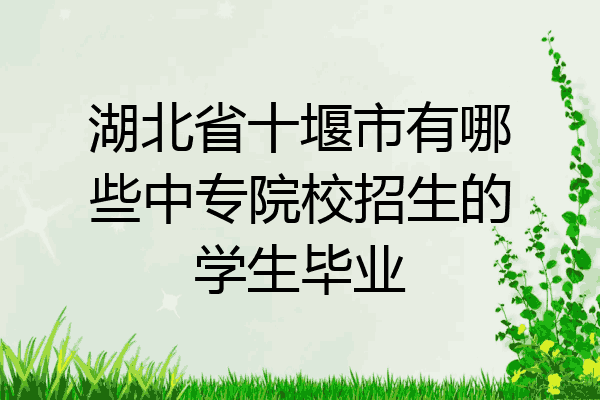 湖北省十堰市有哪些中专院校招生的学生毕业