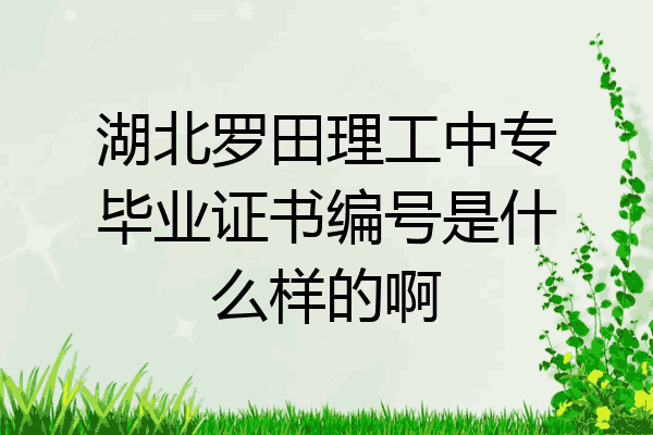 湖北罗田理工中专毕业证书编号是什么样的啊