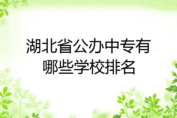 湖北省公办中专有哪些学校排名