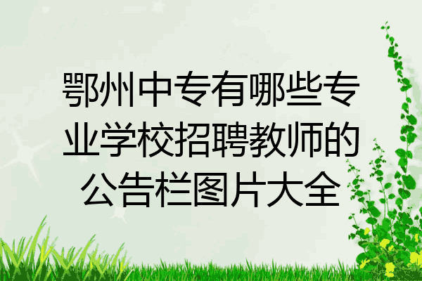 鄂州中专有哪些专业学校招聘教师的公告栏图片大全