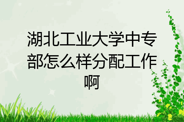 湖北工业大学中专部怎么样分配工作啊