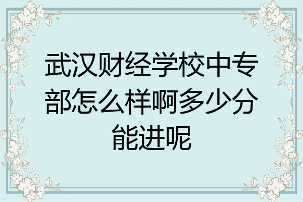 武汉财经学校中专部怎么样啊多少分能进呢
