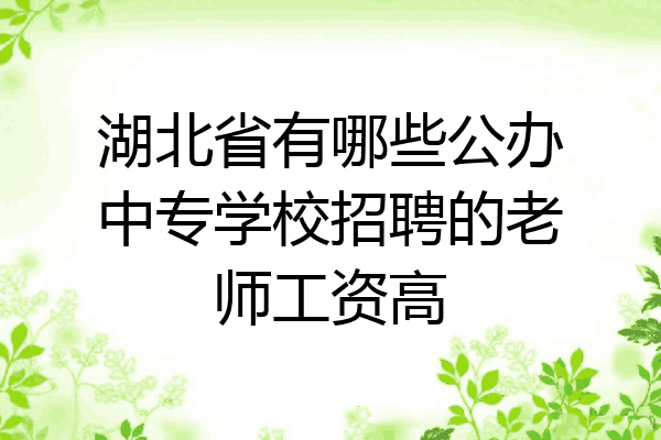湖北省有哪些公办中专学校招聘的老师工资高