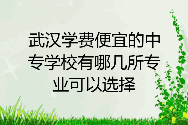 武汉学费便宜的中专学校有哪几所专业可以选择