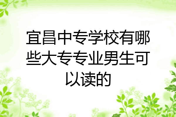 宜昌中专学校有哪些大专专业男生可以读的