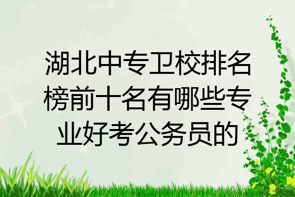 湖北中专卫校排名榜前十名有哪些专业好考公务员的