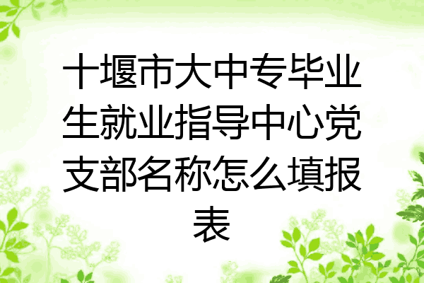 十堰市大中专毕业生就业指导中心党支部名称怎么填报表