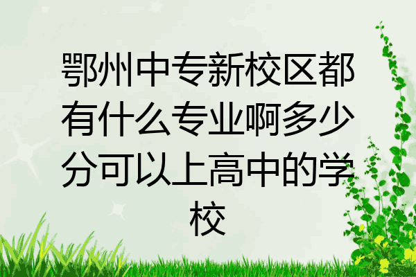 鄂州中专新校区都有什么专业啊多少分可以上高中的学校