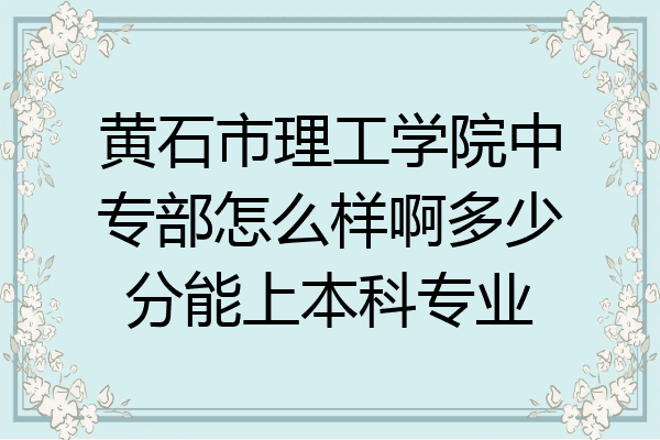 黄石市理工学院中专部怎么样啊多少分能上本科专业