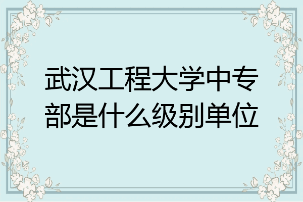 武汉工程大学中专部是什么级别单位