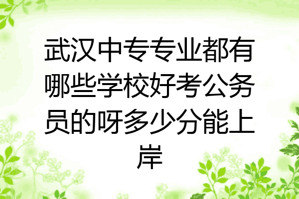 武汉中专专业都有哪些学校好考公务员的呀多少分能上岸