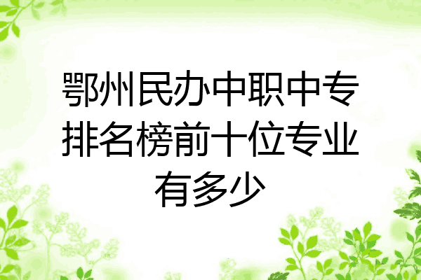 鄂州民办中职中专排名榜前十位专业有多少