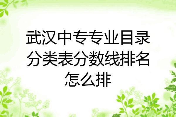 武汉中专专业目录分类表分数线排名怎么排