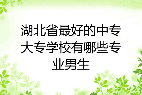 湖北省最好的中专大专学校有哪些专业男生