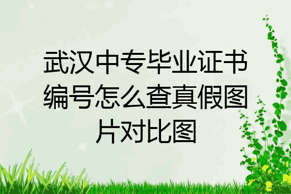 武汉中专毕业证书编号怎么查真假图片对比图