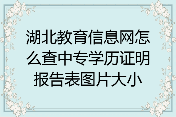 湖北教育信息网怎么查中专学历证明报告表图片大小