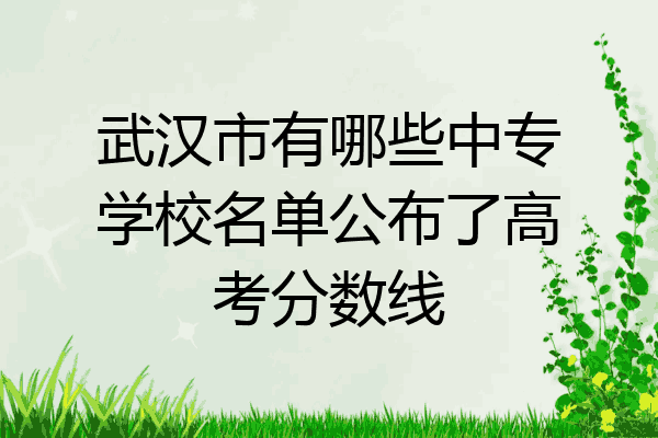武汉市有哪些中专学校名单公布了高考分数线