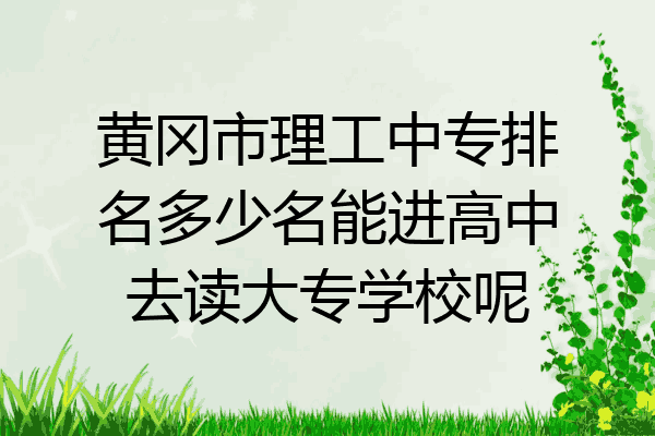 黄冈市理工中专排名多少名能进高中去读大专学校呢