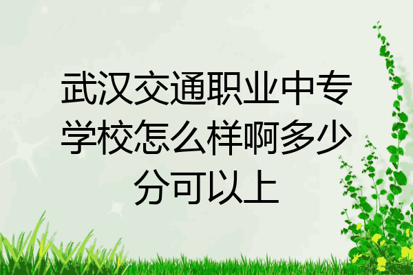 武汉交通职业中专学校怎么样啊多少分可以上