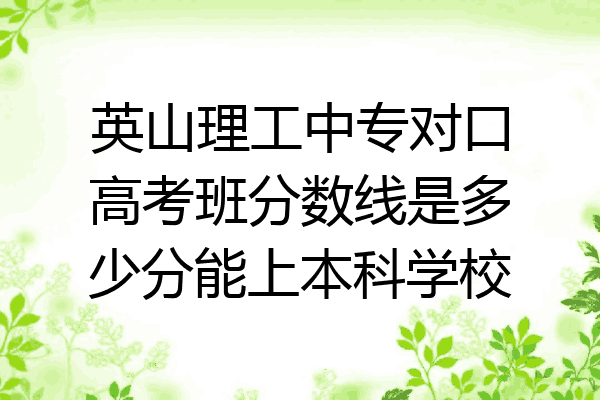 英山理工中专对口高考班分数线是多少分能上本科学校