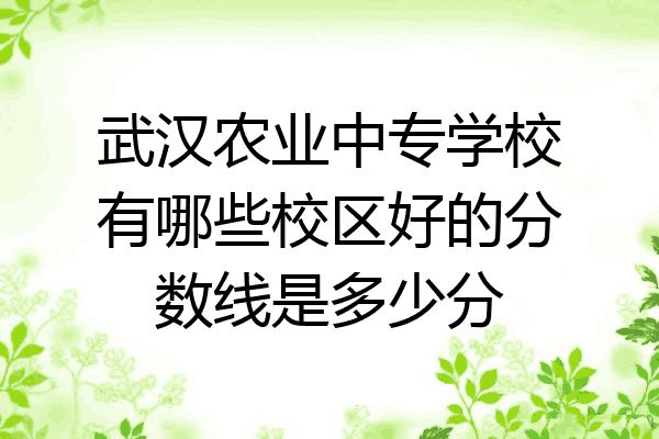 武汉农业中专学校有哪些校区好的分数线是多少分