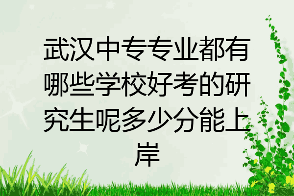 武汉中专专业都有哪些学校好考的研究生呢多少分能上岸