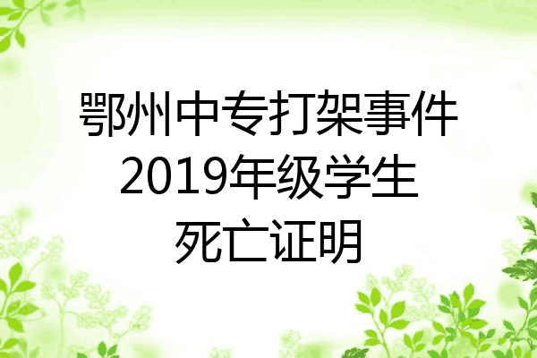 鄂州中专打架事件2019年级学生死亡证明