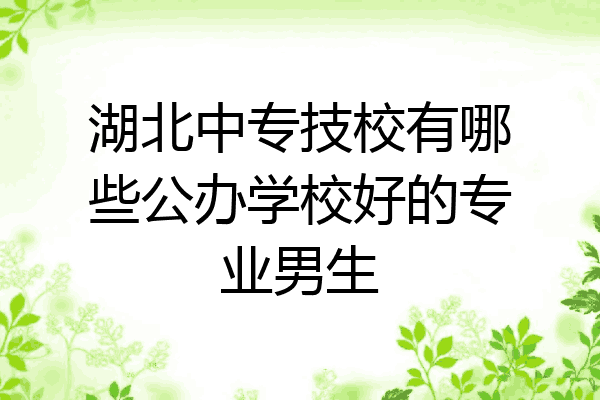 湖北中专技校有哪些公办学校好的专业男生