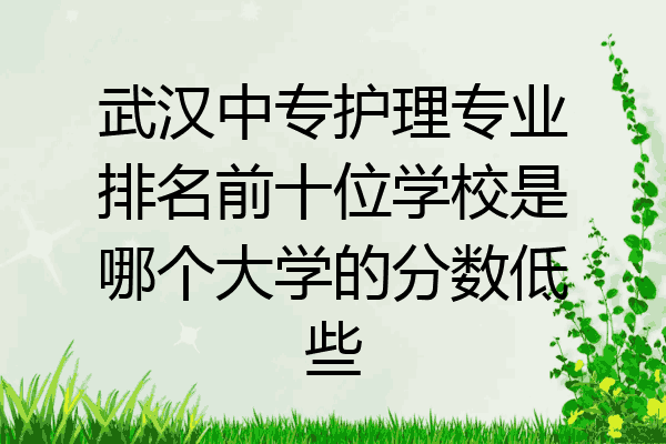 武汉中专护理专业排名前十位学校是哪个大学的分数低些