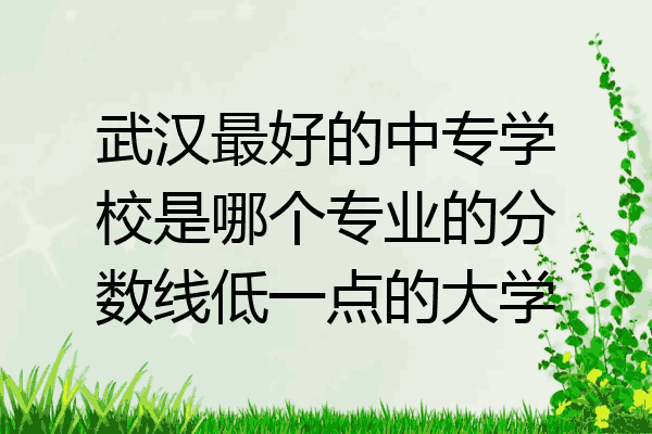 武汉最好的中专学校是哪个专业的分数线低一点的大学