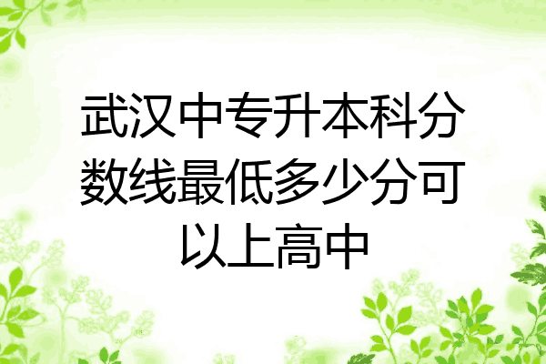 武汉中专升本科分数线最低多少分可以上高中